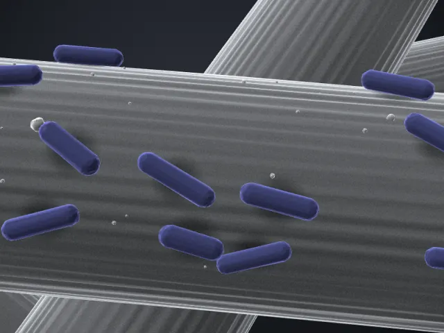 SEM-style 3D illustration of Methanobacterium sp. strain YSL