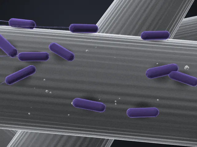 SEM-style 3D illustration of Shewanella oneidensis MR-4